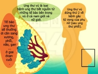 Cách giúp kiểm tra "chất lượng" núi đôi dễ dàng