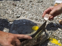 Nắng nóng kỷ lục giúp người Mỹ rán trứng trên đá - thật hay đùa đây :D