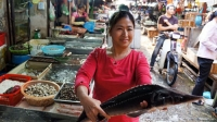 Phát hiện cá tầm nhiễm chất cấm tại chợ Hà Nội