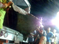 Ngư dân Nghệ an bắt được cá voi gần 1 tấn