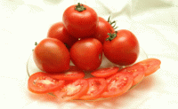 Cà chua giúp giảm nguy cơ ung thư tuyến tiền liệt