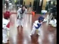 2 cao thủ Taekwondo đánh nhau.......=))
