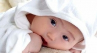 Trẻ sinh tháng mấy của năm ngọ sẽ giàu sang phú quý?????