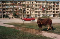 Việt Nam năm 1989 trong ống kính phương Tây - còn đẹp, gọn gàng hơn là bây giờ :(