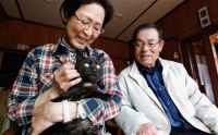 Mèo tái ngộ chủ sau 3 năm bị mất tích do sóng thần Nhật Bản