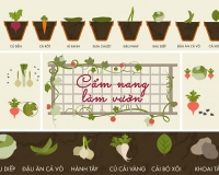 [Infographic] Cẩm nang làm vườn - hướng dẫn tự trồng một khu vườn cá nhân