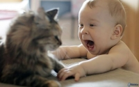 Tổng Hợp Mèo vs Bé Siêu Cute