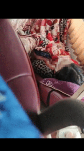 Xôn xao clip ghi cảnh cô gái nằm trên xe khách ngủ mê man bị gã đàn ông đưa tay vào trong áo sờ soạng