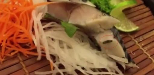 Tổng hợp những sinh vật lạ xuất hiện trong đồ ăn tại Hà Nội