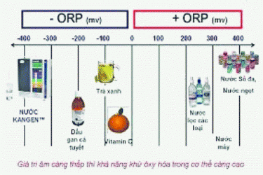 Nước Kangen, phương pháp mới trong bảo vệ sức khỏe