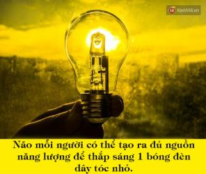 10 sự thật "kinh ngạc" về cơ thể người