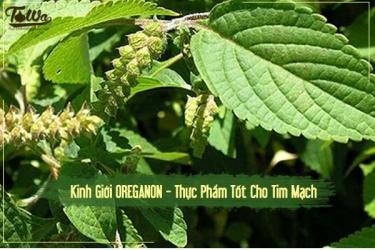 Tỏi Đen Và 10 Thực Phẩm Tốt Cho Tim Mạch