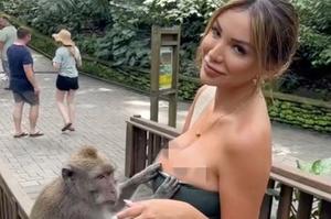 Hoa hậu Peru bị khỉ "sàm sỡ" trong vườn thú
